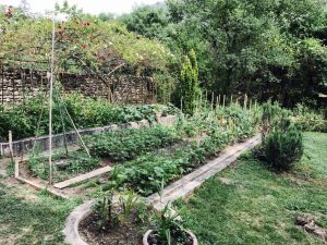 Le potager du Château d'Uzer pour une cuisine de saison