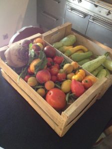 Le potager du Château d'Uzer pour une cuisine de saison