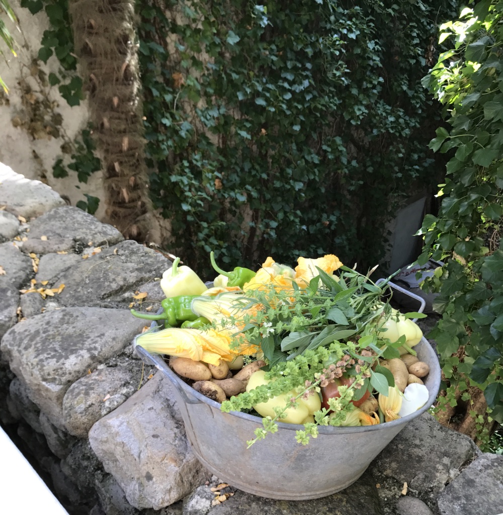 Chateau-d-Uzer-potager-legumes-bio-ardeche